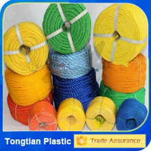 Customized size PP danline rope price for sale